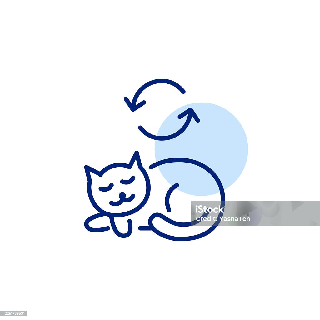 istockphoto 2261739531 1024x1024